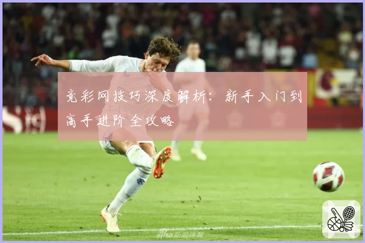 竞彩网技巧深度解析：新手入门到高手进阶全攻略