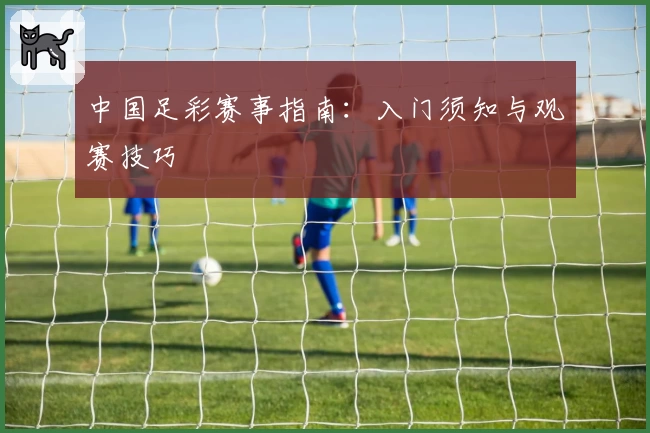 中国足彩赛事指南：入门须知与观赛技巧