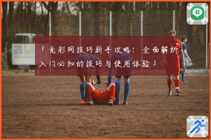 「竞彩网技巧新手攻略：全面解析入门必知的技巧与使用体验」