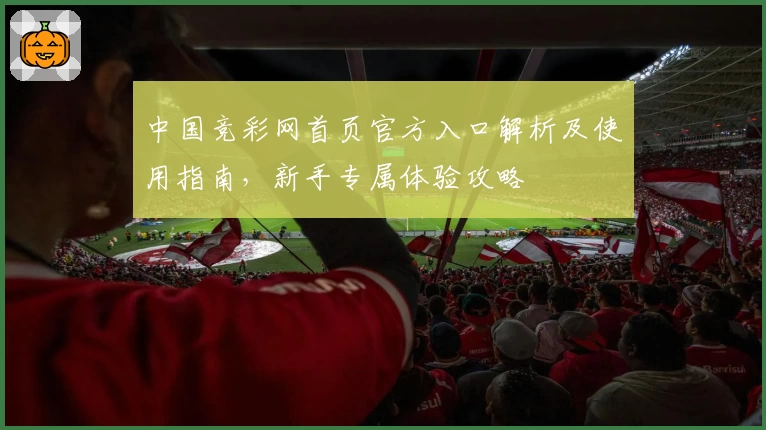 中国竞彩网首页官方入口解析及使用指南，新手专属体验攻略