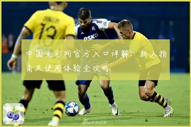 中国竞彩网官方入口详解：新人指南及使用体验全攻略